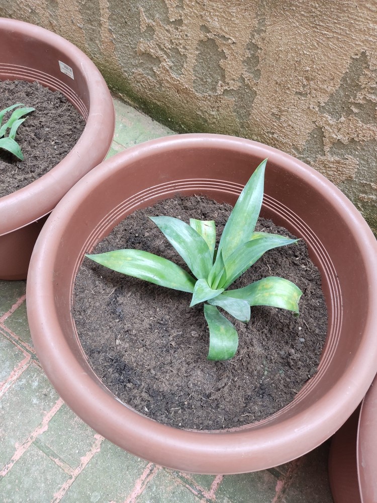 WhatsApp Image 2026-04-18 at 17.31.15 (1).jpeg