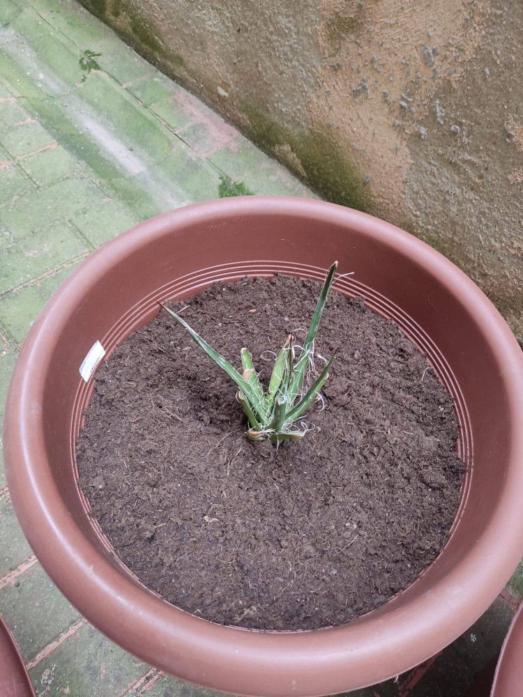 WhatsApp Image 2026-04-18 at 17.31.14 (2).jpeg