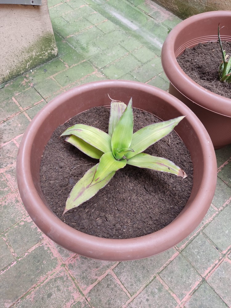 WhatsApp Image 2026-04-18 at 17.31.14 (1).jpeg