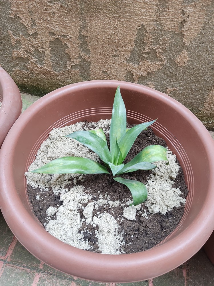 WhatsApp Image 2026-04-18 at 17.31.06 (1).jpeg