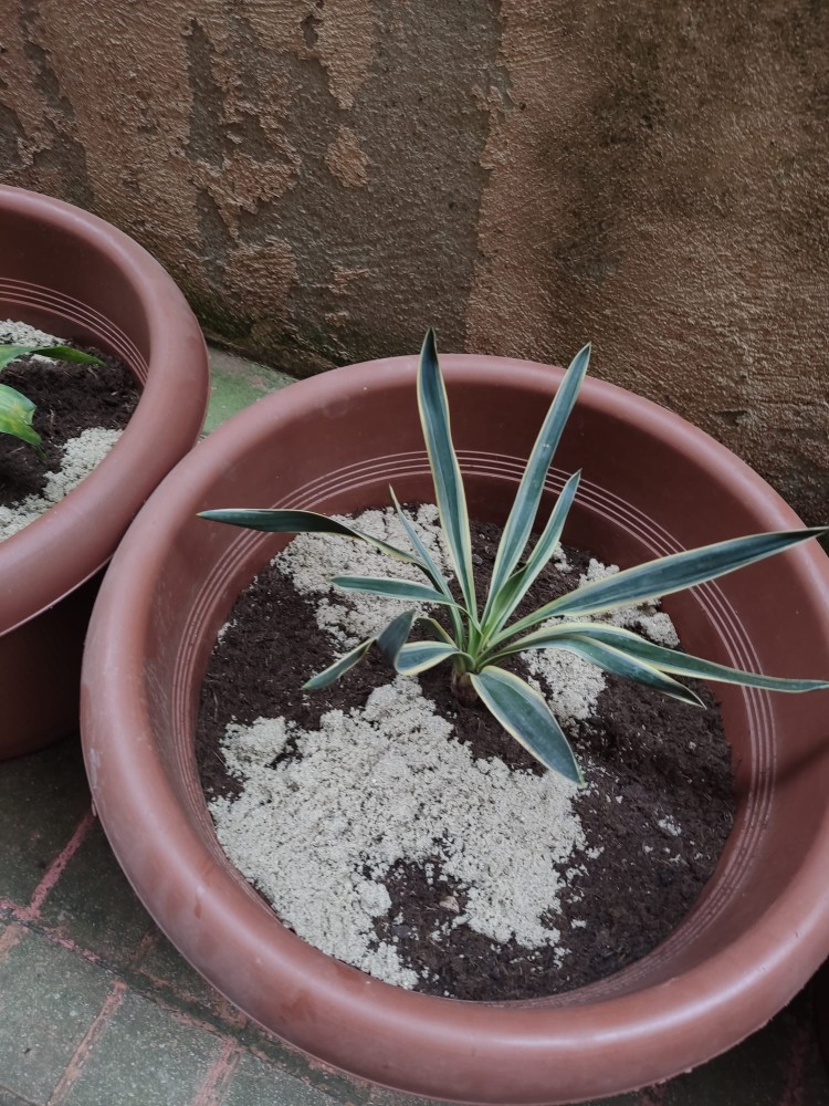 WhatsApp Image 2026-04-18 at 17.31.06 (2).jpeg