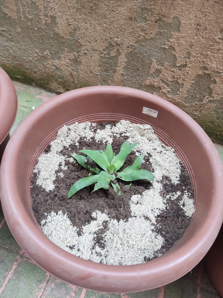 WhatsApp Image 2026-04-18 at 17.31.17 (2).jpeg