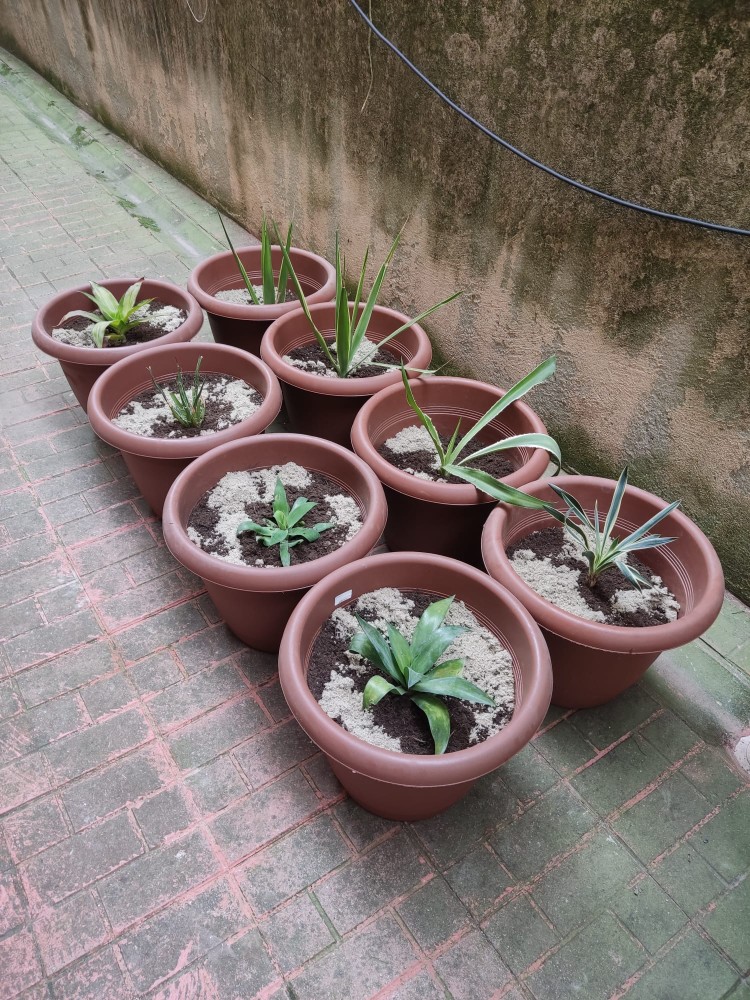 WhatsApp Image 2026-04-18 at 17.31.06.jpeg