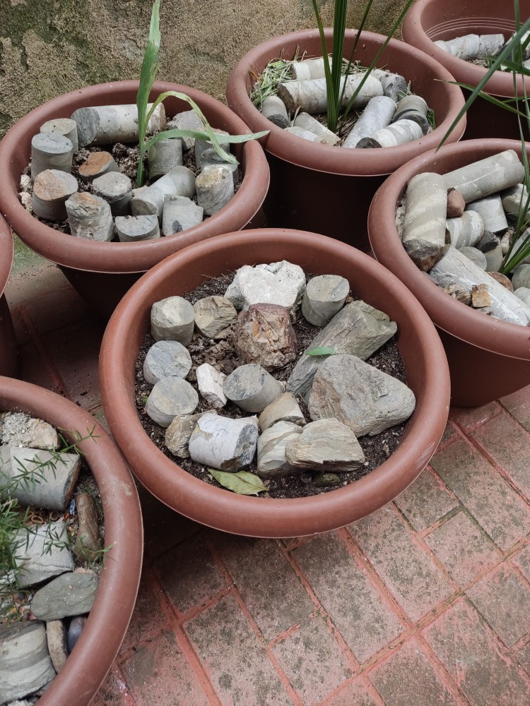 WhatsApp Image 2026-04-18 at 17.31.14.jpeg