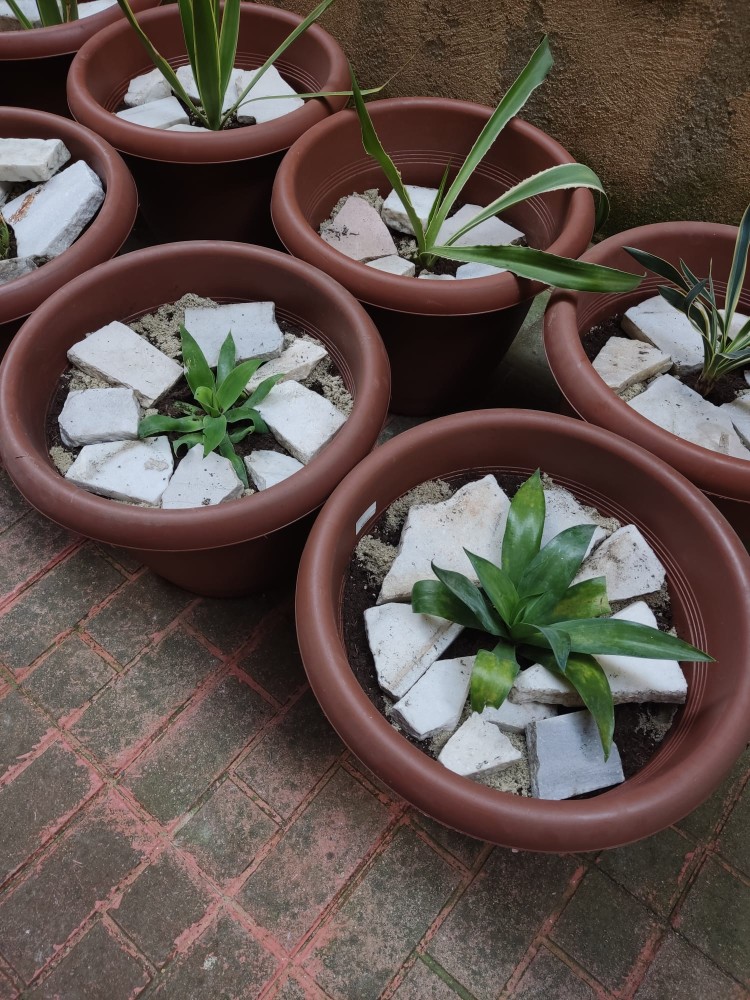 WhatsApp Image 2026-04-18 at 17.31.03 (1).jpeg