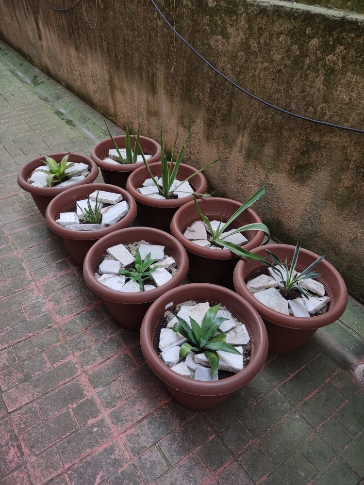 WhatsApp Image 2026-04-18 at 17.31.04.jpeg