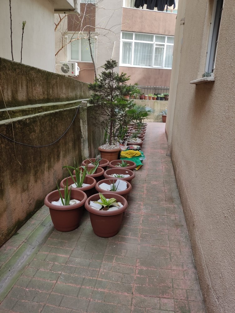 WhatsApp Image 2026-04-18 at 17.31.04 (1).jpeg