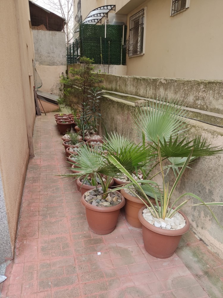 WhatsApp Image 2026-04-18 at 17.31.03.jpeg