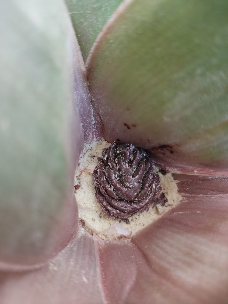 WhatsApp Image 2026-04-18 at 17.31.05 (1).jpeg