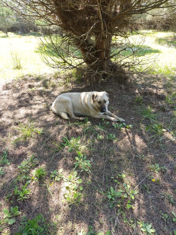 WhatsApp Image 2026-04-23 at 20.18.27 (1).jpeg