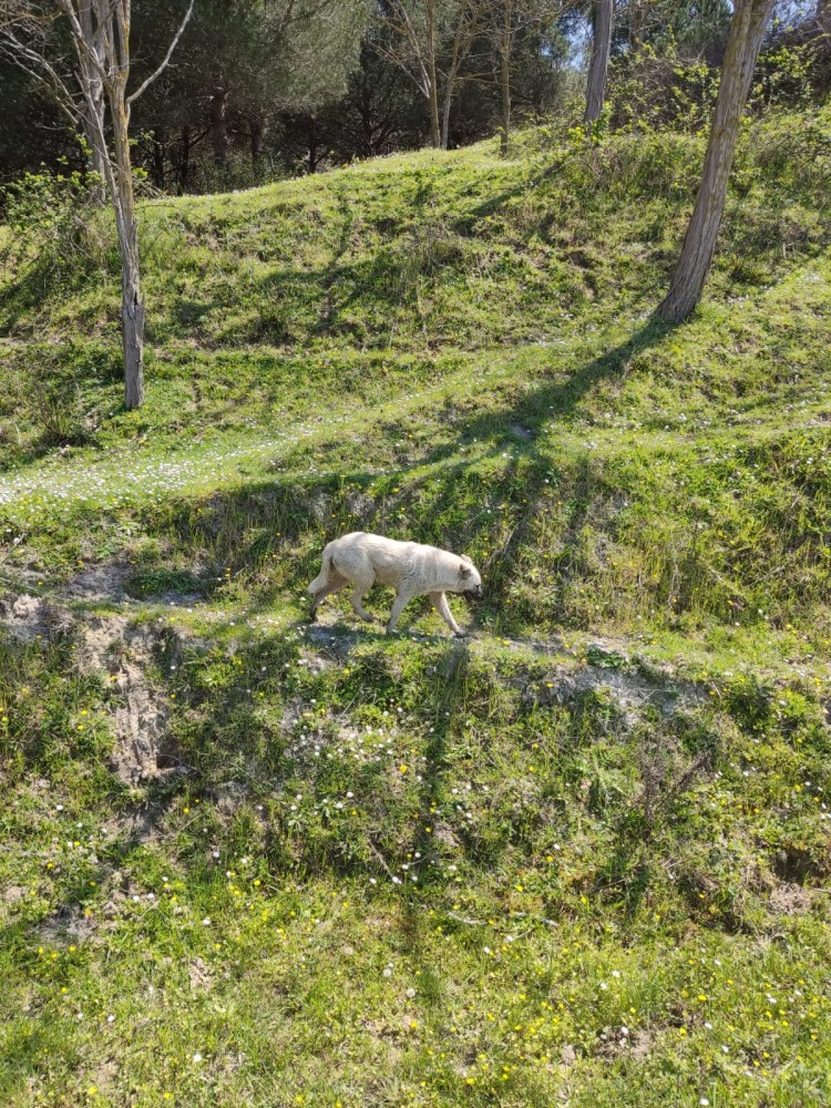 WhatsApp Image 2026-04-23 at 20.18.27 (2).jpeg