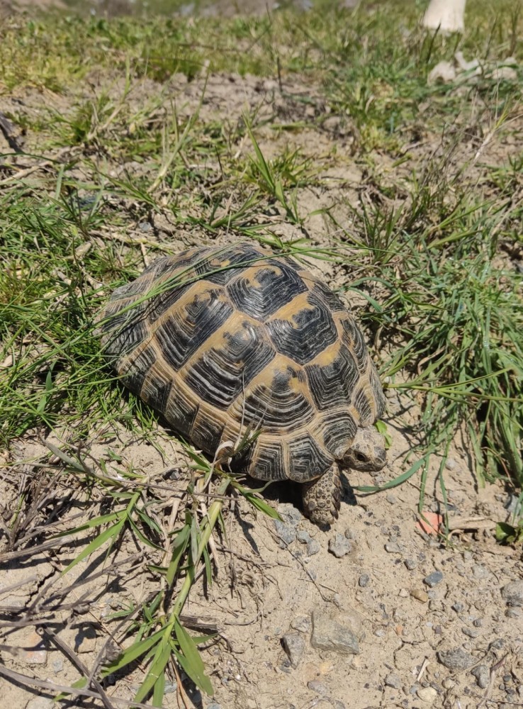 WhatsApp Image 2026-04-23 at 20.18.28 (1).jpeg