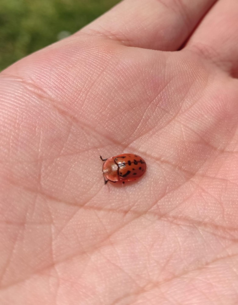 WhatsApp Image 2026-04-23 at 20.18.28.jpeg