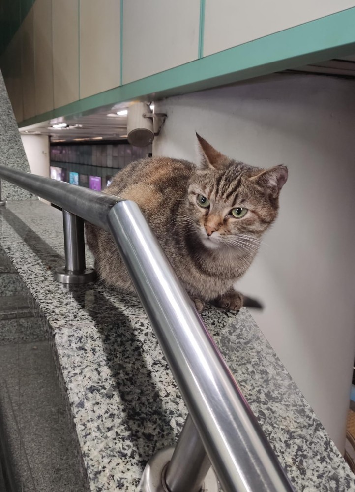 WhatsApp Image 2026-04-23 at 20.18.29 (1).jpeg