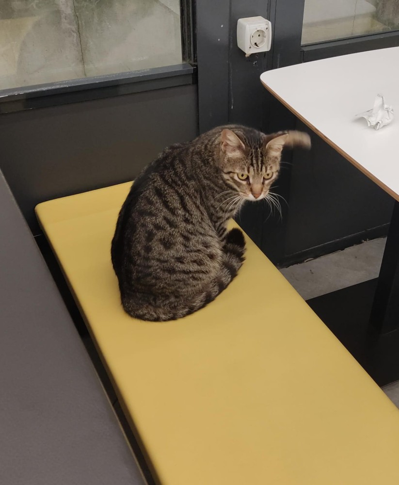 WhatsApp Image 2026-04-23 at 20.18.29 (2).jpeg