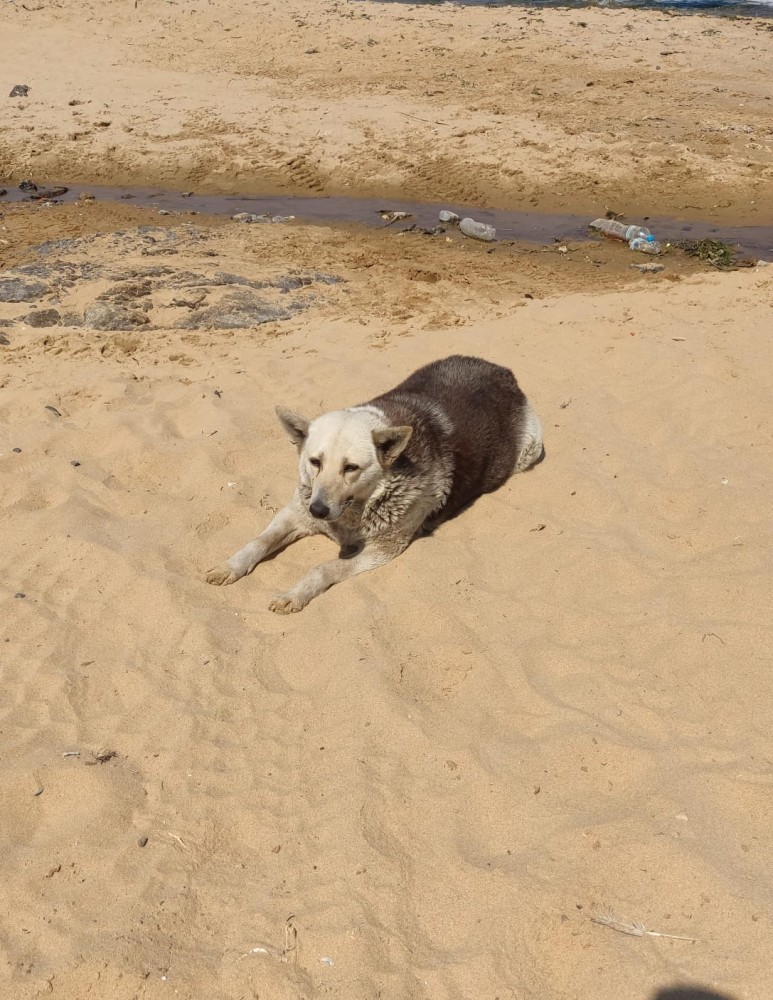 WhatsApp Image 2026-04-23 at 20.18.29.jpeg