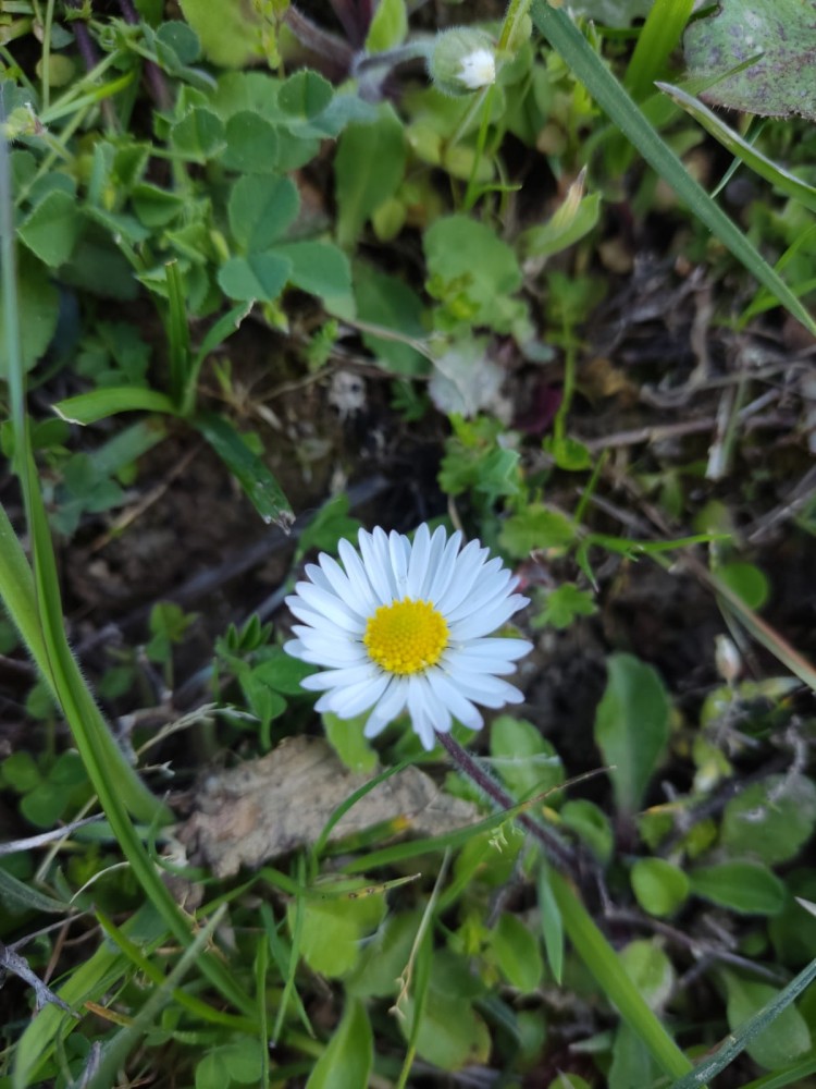 WhatsApp Image 2026-04-23 at 20.18.25 (2).jpeg