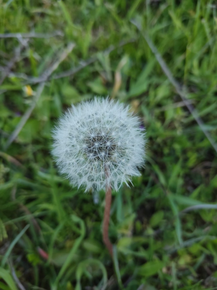 WhatsApp Image 2026-04-23 at 20.18.26.jpeg