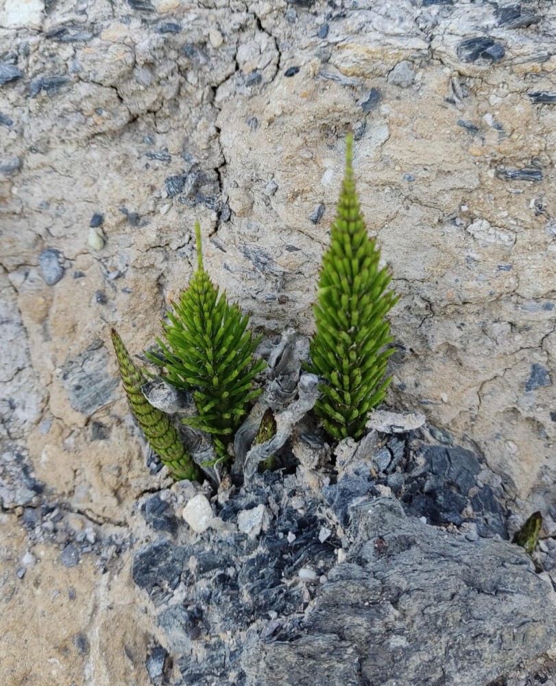 WhatsApp Image 2026-04-23 at 20.18.25.jpeg