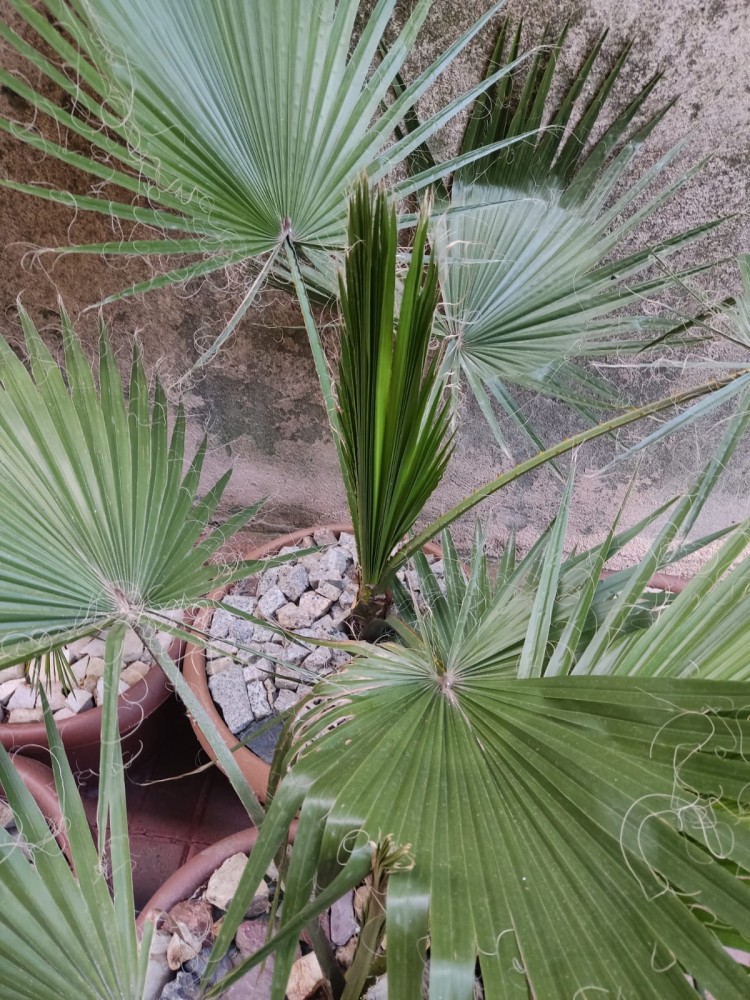 WhatsApp Image 2026-04-23 at 20.18.24 (3).jpeg