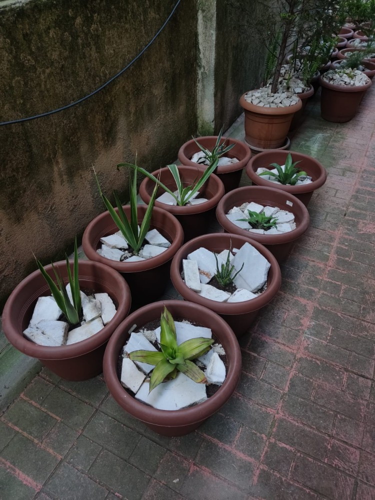 WhatsApp Image 2026-04-23 at 20.18.24 (2).jpeg