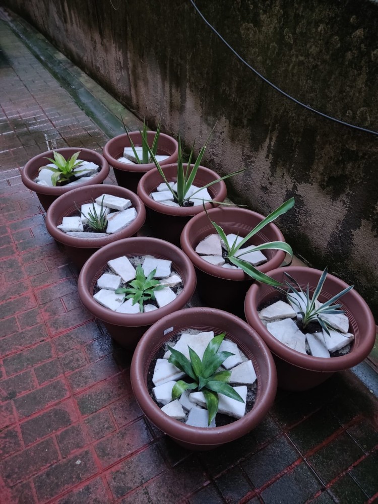 WhatsApp Image 2026-04-23 at 20.18.23.jpeg