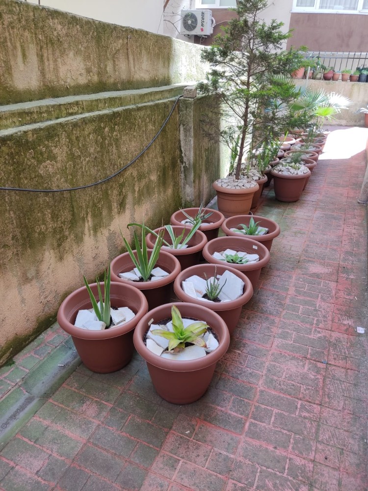 WhatsApp Image 2026-04-24 at 13.40.48 (3).jpeg