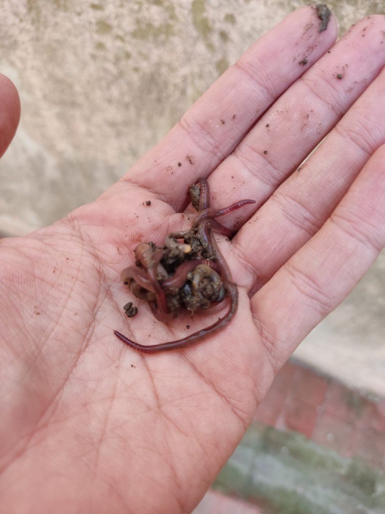 WhatsApp Image 2026-04-24 at 13.40.48 (2).jpeg