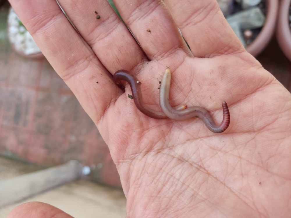 WhatsApp Image 2026-04-24 at 13.40.48 (1).jpeg