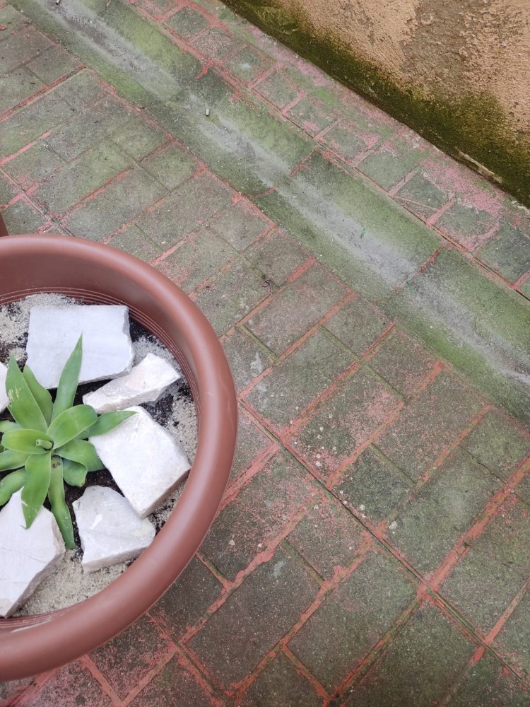 WhatsApp Image 2026-04-24 at 13.40.48.jpeg