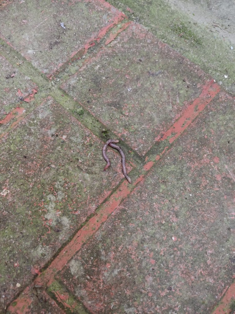 WhatsApp Image 2026-04-24 at 13.40.47.jpeg