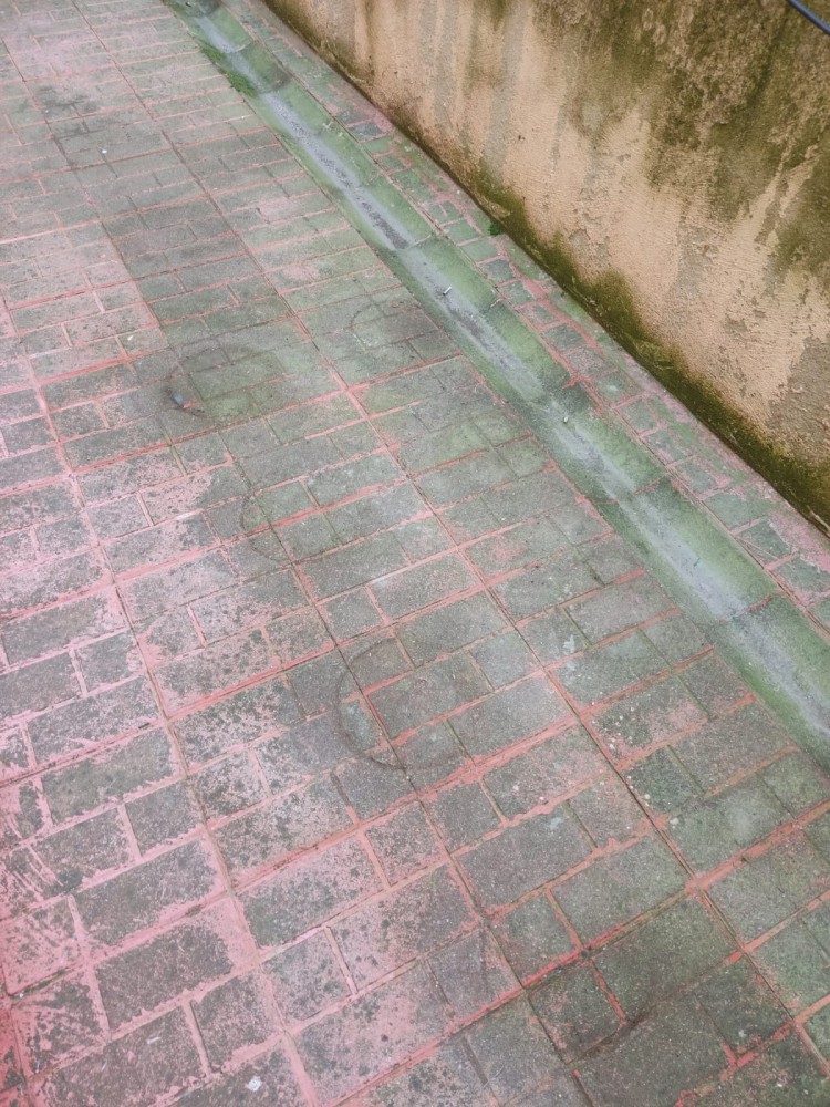 WhatsApp Image 2026-04-24 at 13.40.46.jpeg