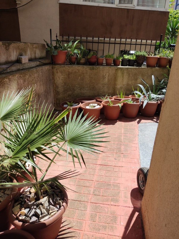 WhatsApp Image 2026-04-24 at 13.40.44 (3).jpeg