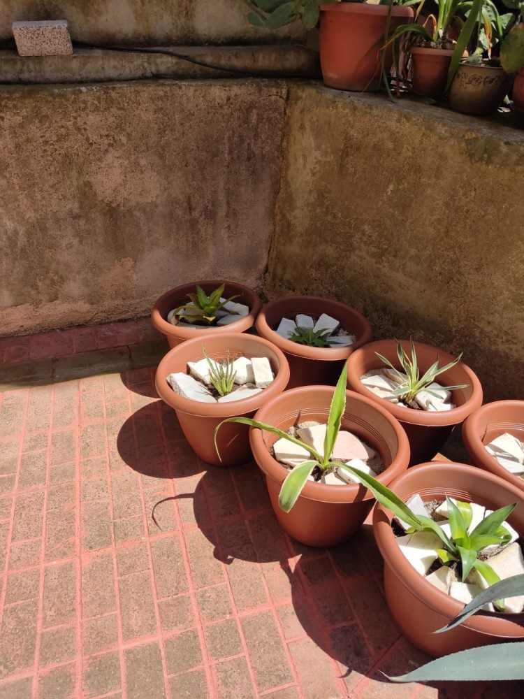 WhatsApp Image 2026-04-24 at 13.40.43 (1).jpeg