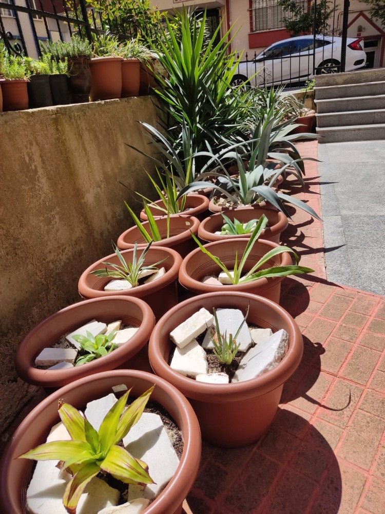 WhatsApp Image 2026-04-24 at 13.40.43.jpeg