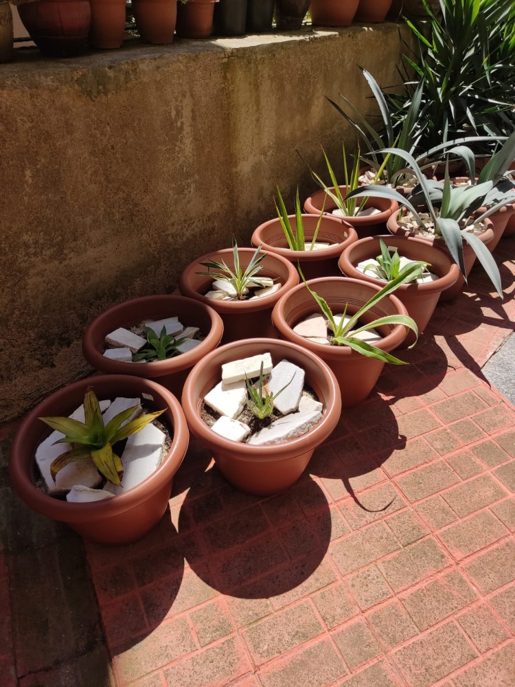 WhatsApp Image 2026-04-24 at 13.40.44 (1).jpeg