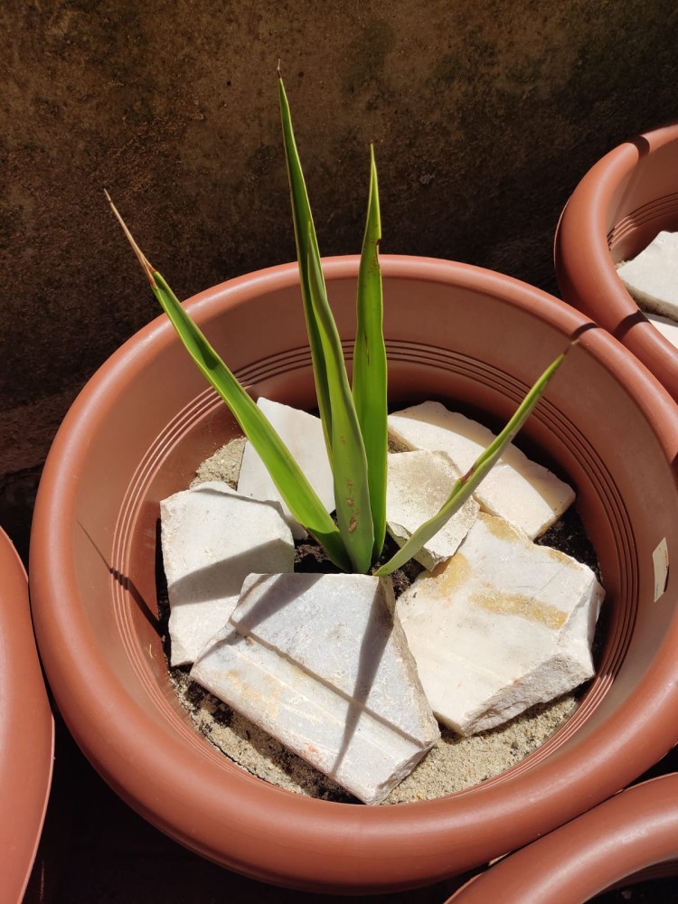 WhatsApp Image 2026-04-24 at 13.40.40 (1).jpeg