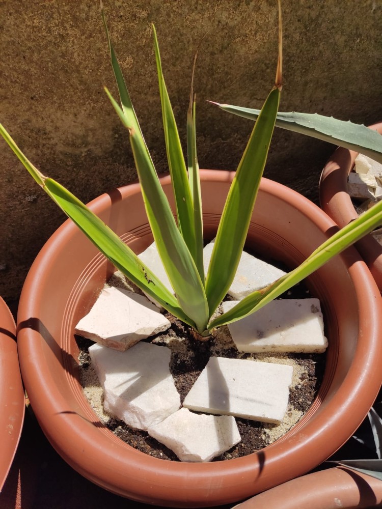 WhatsApp Image 2026-04-24 at 13.40.40.jpeg