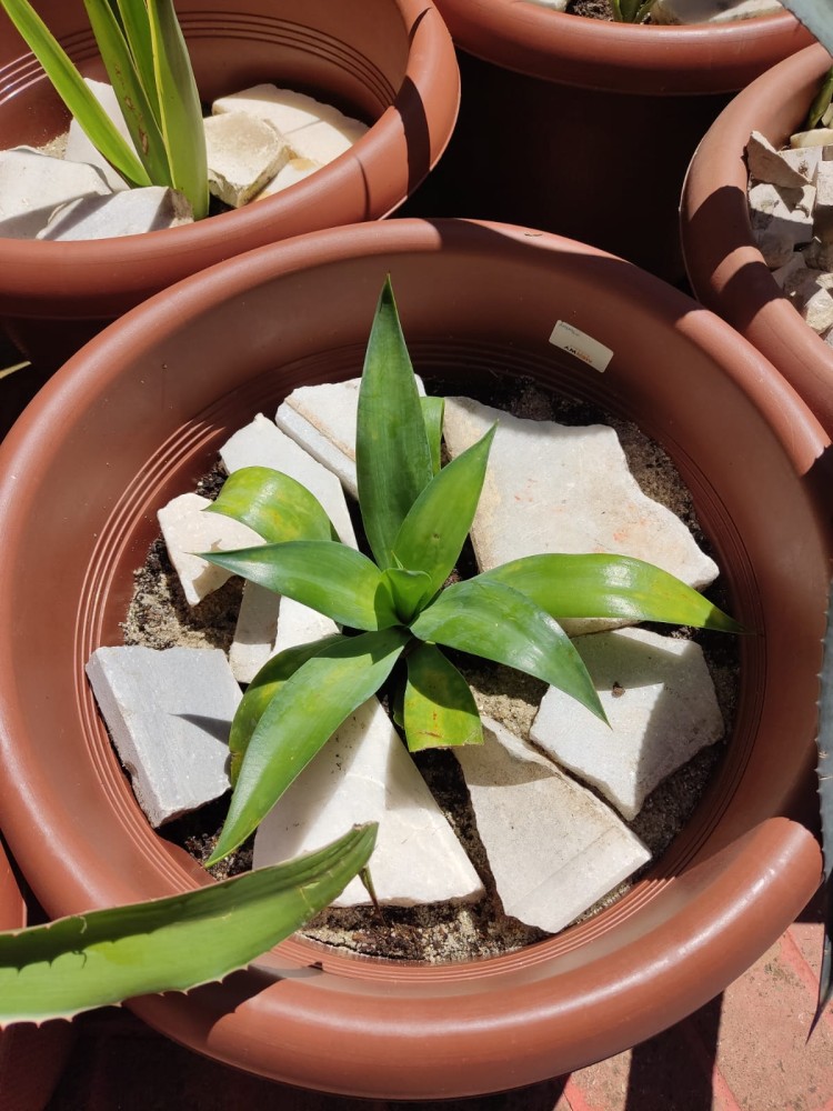 WhatsApp Image 2026-04-24 at 13.40.40 (2).jpeg