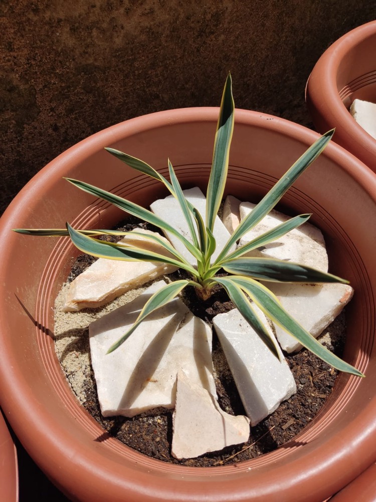 WhatsApp Image 2026-04-24 at 13.40.41 (1).jpeg