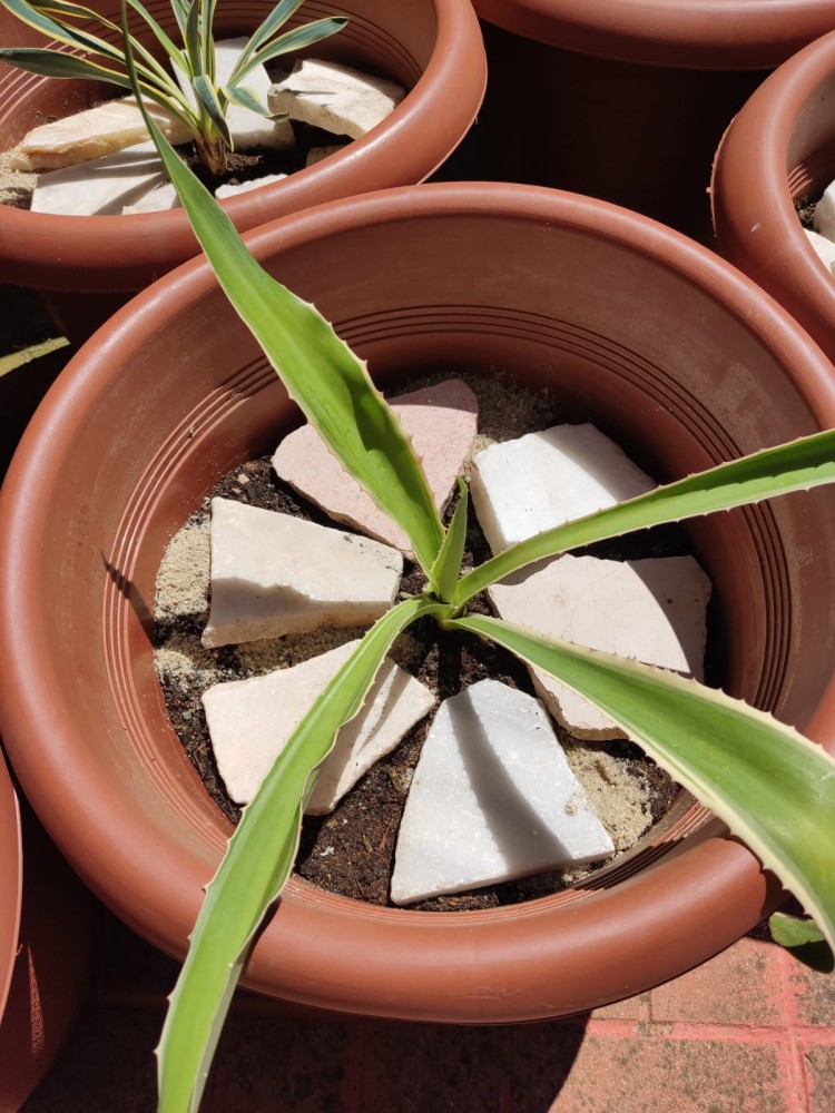 WhatsApp Image 2026-04-24 at 13.40.41.jpeg