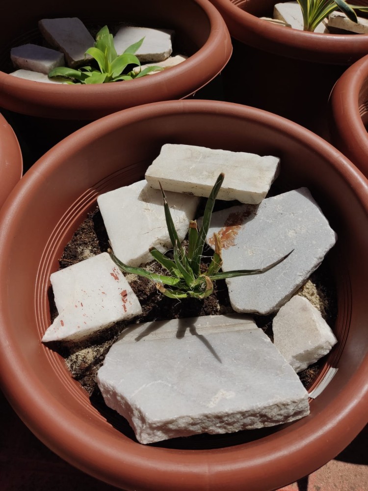 WhatsApp Image 2026-04-24 at 13.40.42 (1).jpeg