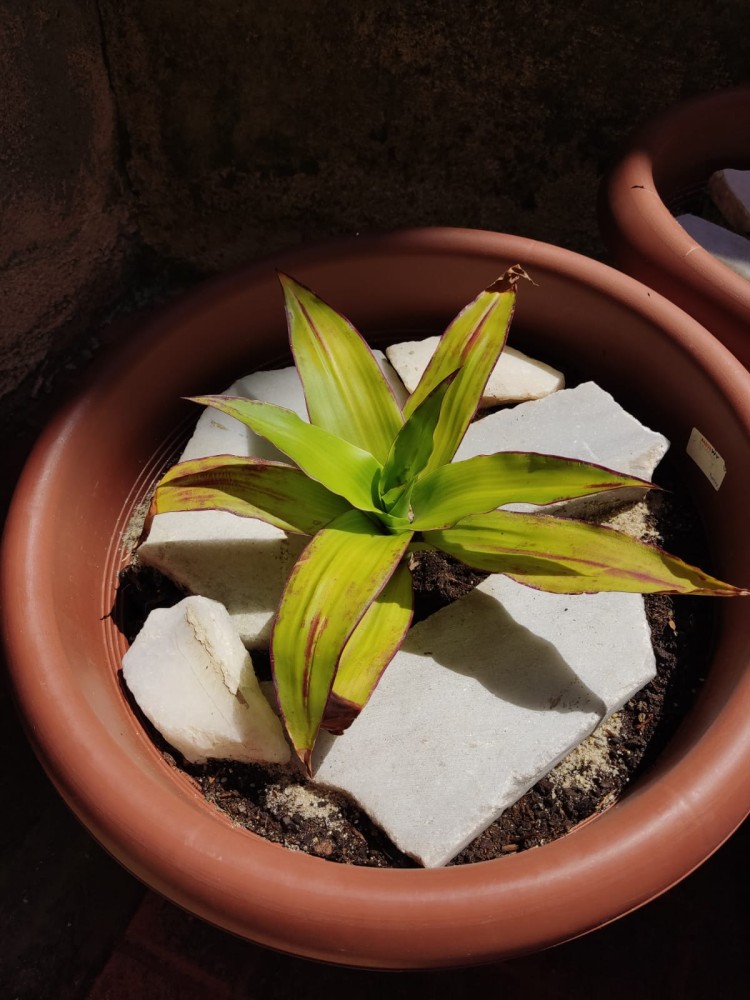 WhatsApp Image 2026-04-24 at 13.40.42 (2).jpeg