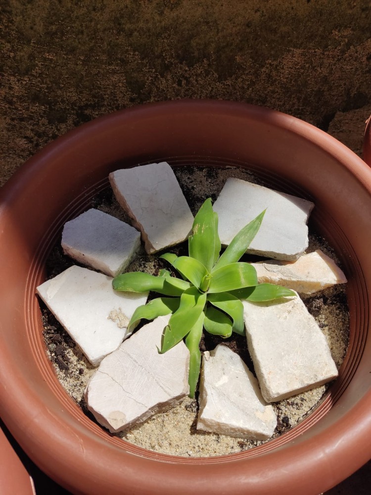 WhatsApp Image 2026-04-24 at 13.40.42.jpeg