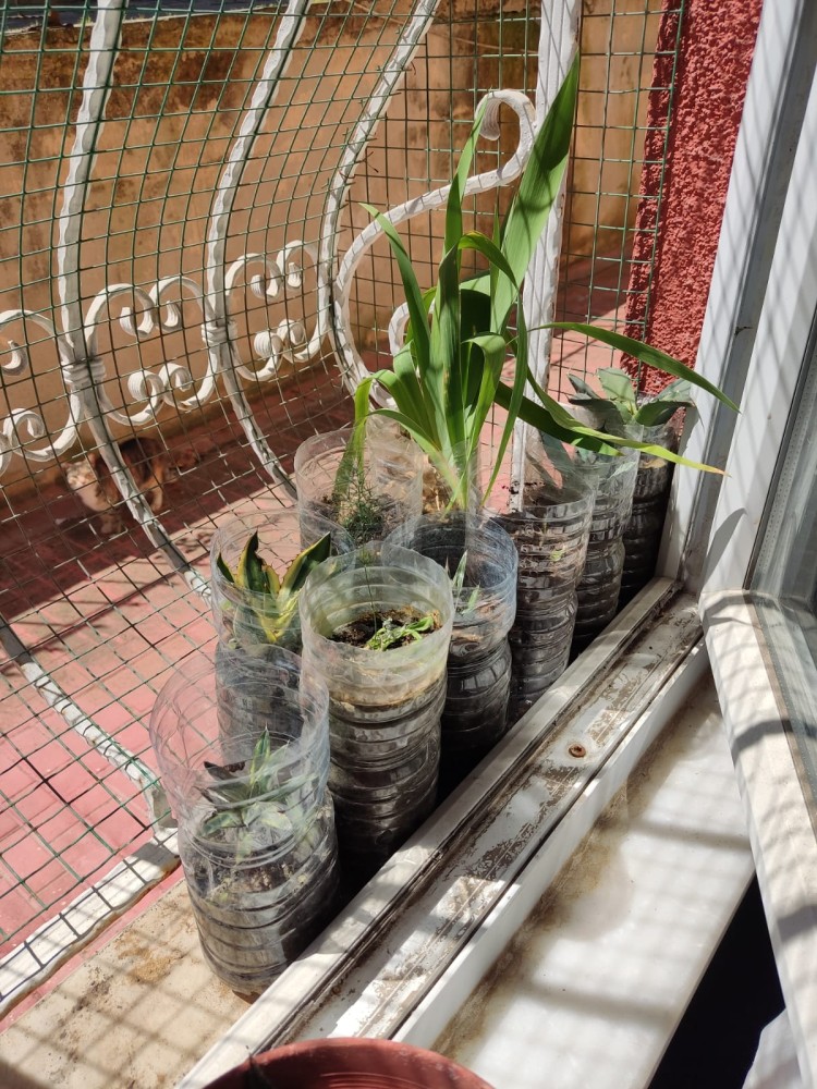 WhatsApp Image 2026-04-24 at 13.40.39.jpeg