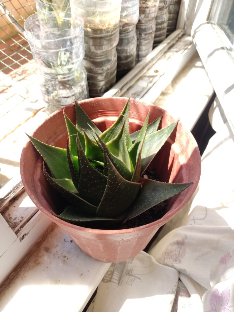 WhatsApp Image 2026-04-24 at 13.40.39 (1).jpeg