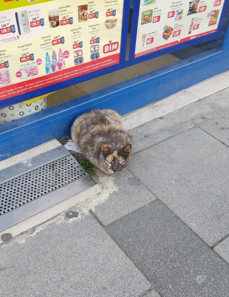 WhatsApp Image 2026-04-24 at 20.35.31 (2).jpeg