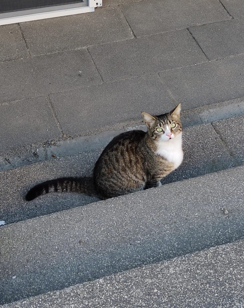 WhatsApp Image 2026-04-24 at 20.35.31 (3).jpeg