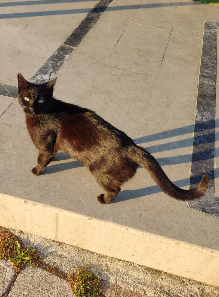 WhatsApp Image 2026-04-24 at 20.35.24.jpeg