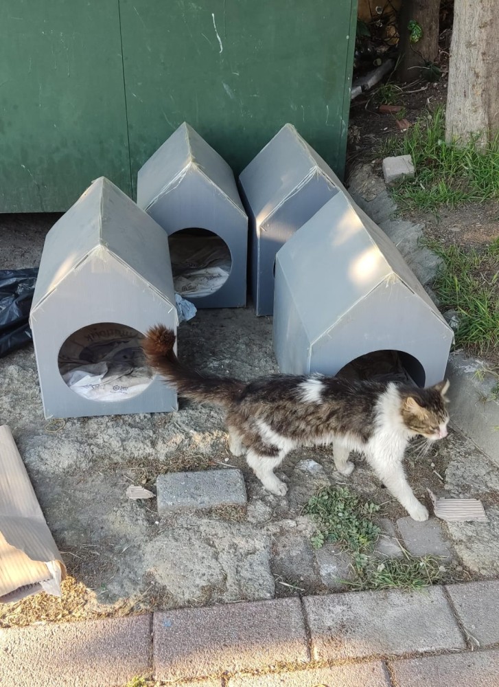 WhatsApp Image 2026-04-24 at 20.35.28 (1).jpeg